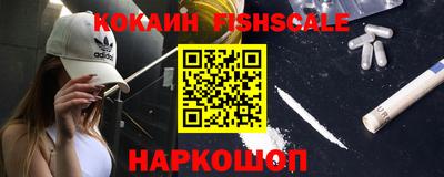 гашик Тулун