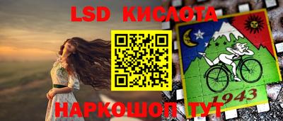гашик Тулун