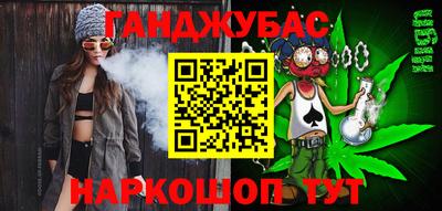 гашик Тулун