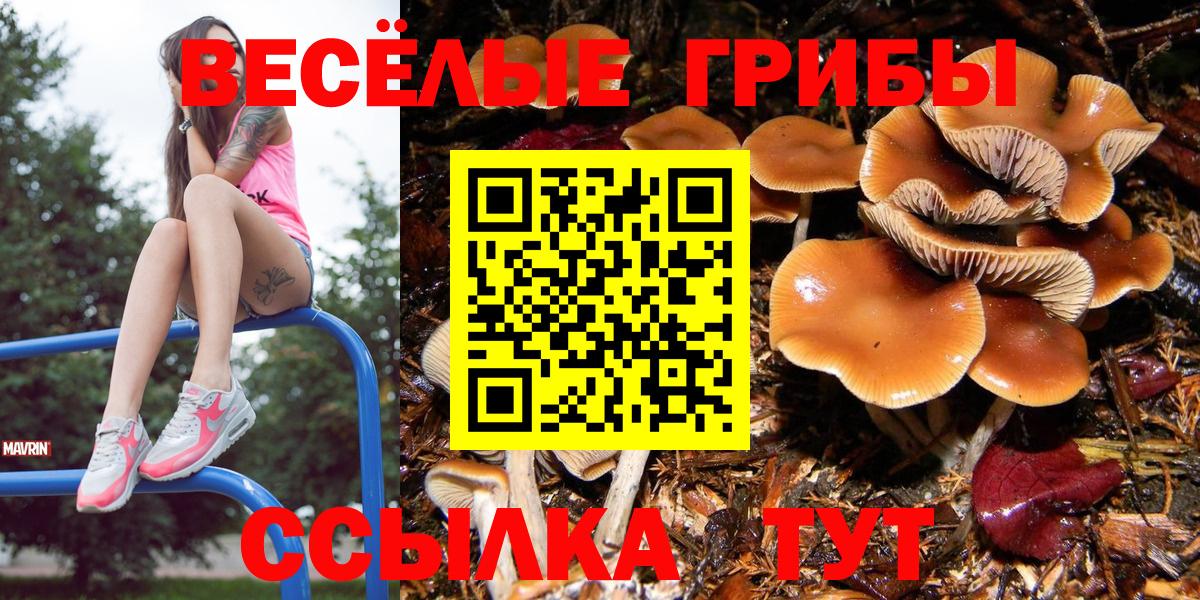 Псилоцибиновые грибы мухоморы  Вход с VPN  даркнет сайт  Псилоцибиновые грибы ЛСД  Нефтекамск 