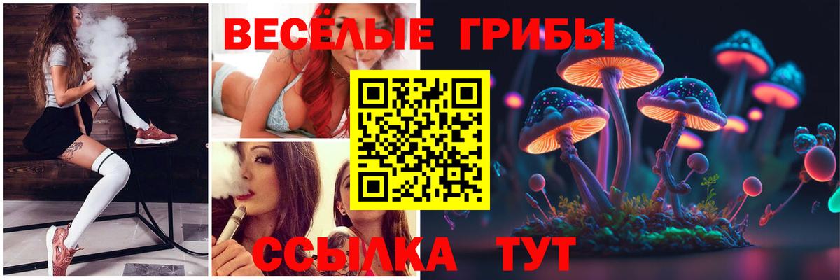 Псилоцибиновые грибы Psilocybine cubensis Нефтекамск